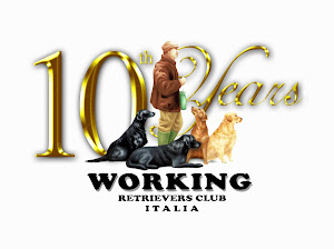 WORKING DAY SU SELVAGGINA WRCI