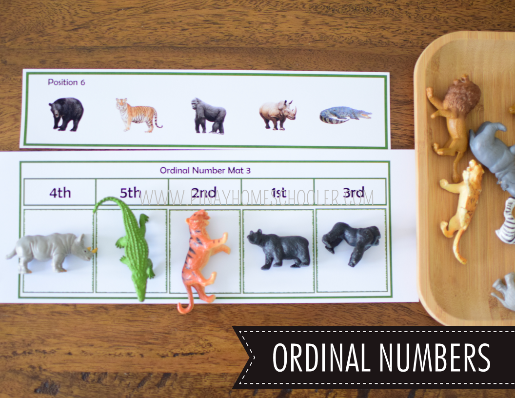 SAFARI TOOB THEME MATH ACTIVITIES