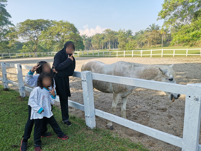 Hotel best di Johor untuk anak-anak