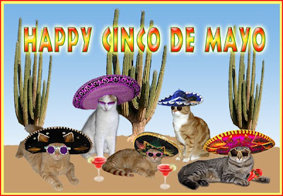 Cinco Mayo on The Cat Realm  Cinco De Mayo