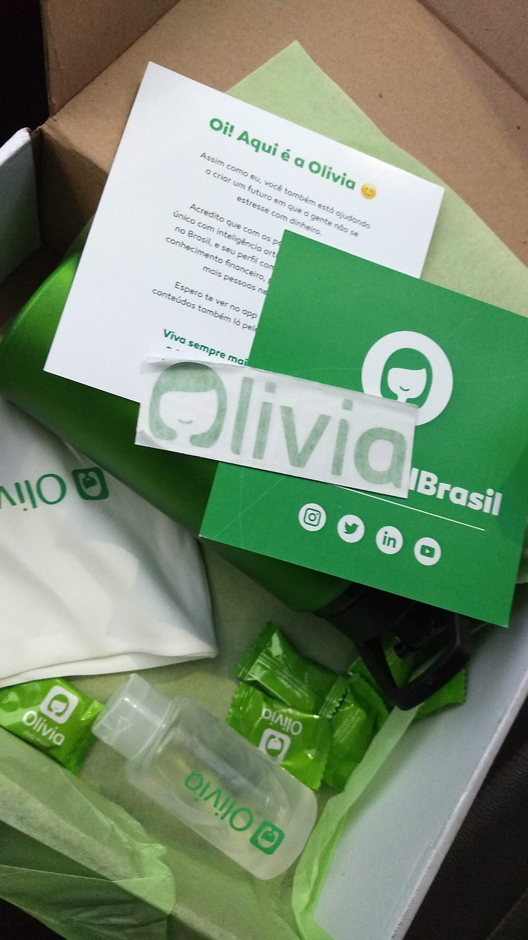 press kit Olivia app de organizacao financeira recebidos @truquesdemeninas resenha