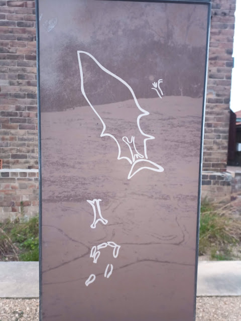 Reconstructed image of rock carving of whale or shark, and other carvings