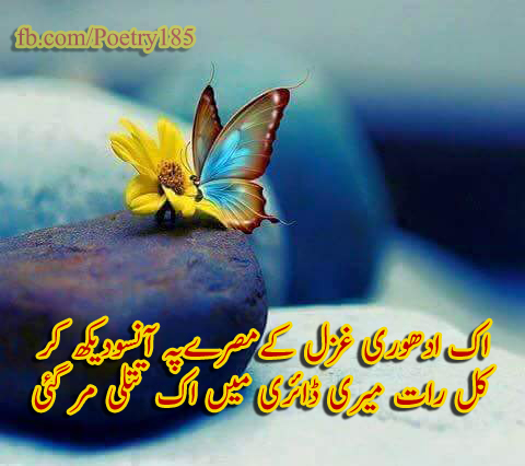 Love Urdu Poetry Love 