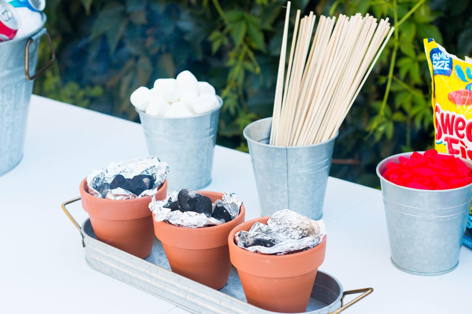 S'mores Bar for a Party