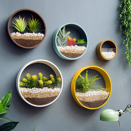 DIY hanging plants terrarium - Terarium tumbuhan gantung DIY