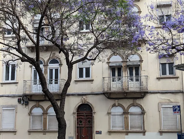 Facade with a purple jacaranda tree in front in Lisbon in May