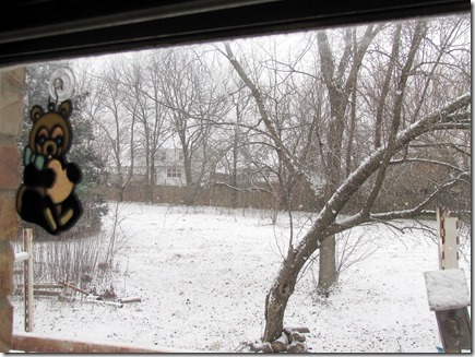 Snow01-22012a