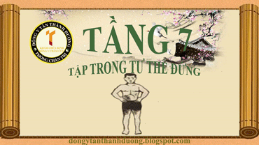 tang-7-tap-trong-tu-the-dung-1