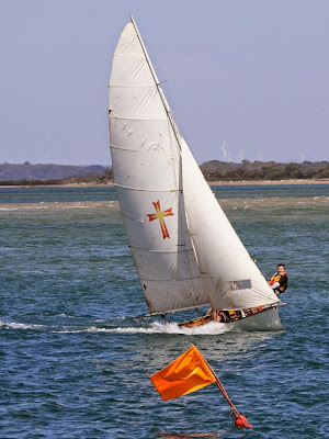  Heron, two Sabre's, an Oughtred Classic Shearwater dinghy, and a scow