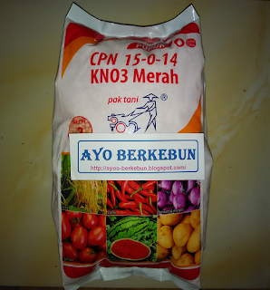 jual pupuk kno3 murah