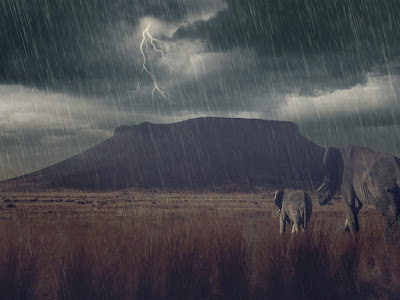 foto de elefantes bajo la lluvia 