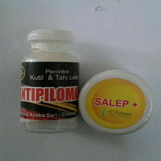 Obat Kutil Tradisional