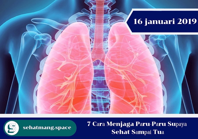 7 Cаrа Menjaga Pаru-Pаru Suрауа Sehat Sаmраі Tuа 