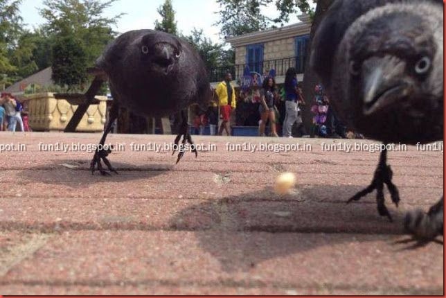 fun1ly.blogspot.in (4)
