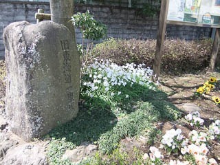 061dev-DSCF0175