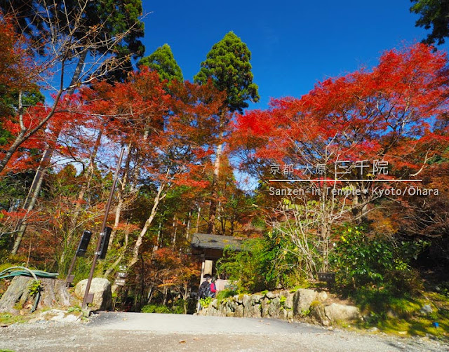 京都 大原 三千院の慈眼の庭