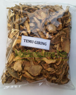 tanaman obat temu giring, jamu temu giring