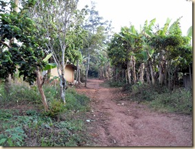 SDC10766