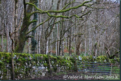 16-old-wall