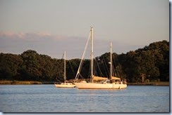 IMG_0572