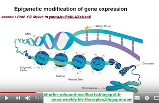 Epigenetique vih myers guyon histone methylation nobel