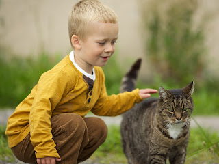 a cat and a boy