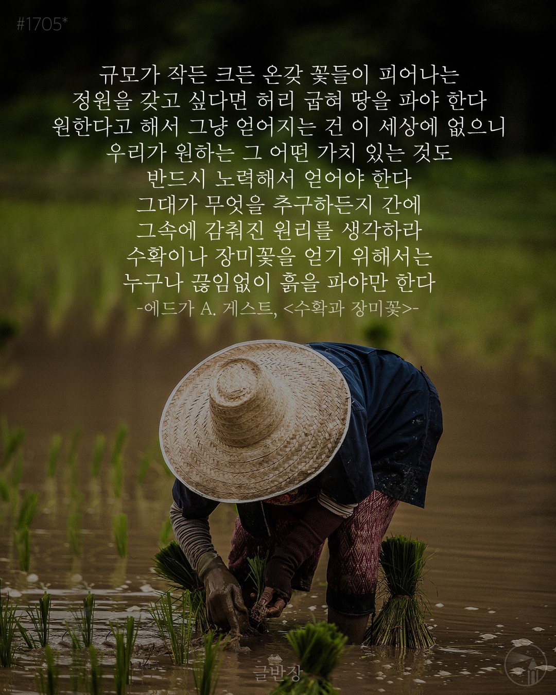 원한다고 해서 그냥 얻어지는 건 이 세상에 없다 - 에드가 A. 게스트, <수확과 장미꽃>