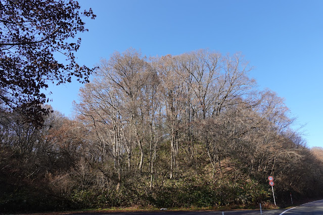 岡山県真庭市の蒜山下徳山 蒜山大山スカイラインからの眺望