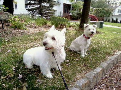 Haircuts for Keli & Penny