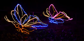 Garden Lights, Holiday Nights, Atlanta Botanical Garden