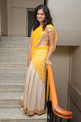 Nanditha raj latest photos in half saree-thumbnail-1