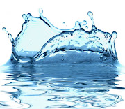 Water is vital to your body. It makes up 93 percent of your blood, . (water)