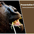 Free Gorilla Monkey PPT Template