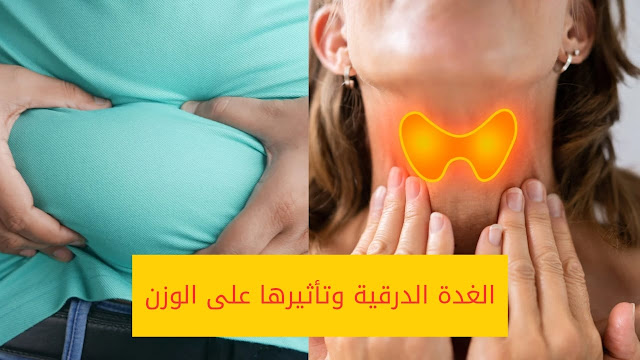 رسم بياني يوضح تأثير هرمون الإستروجين والكورتيزول والغدة الدرقية على وزن النساء