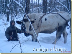 И вот мы в лесу