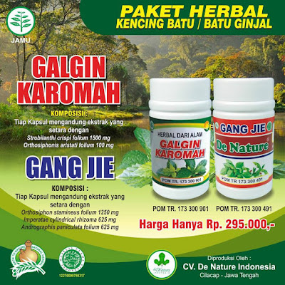 OBAT KENCING BATU/BATU GINJAL