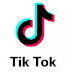 Tiktokwant Com || Here's How To Get Free Fans and Followers Tiktok 