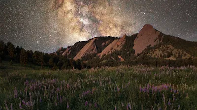 Milky Way Galaxy, Flowers, Night, Mountain, Starry Sky, Grass