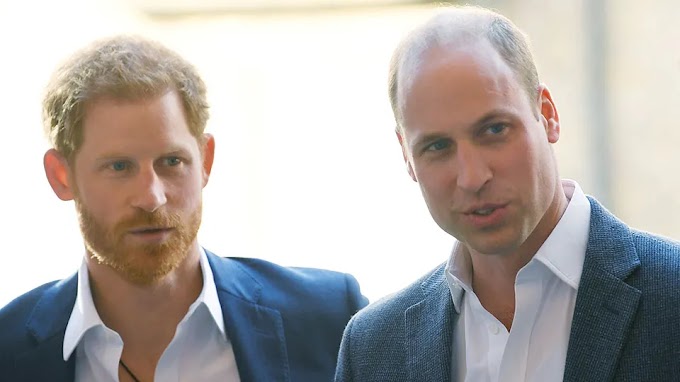 The Evolution of Prince Harry and Prince William's Relationship Amidst Meghan Markle's Introduction