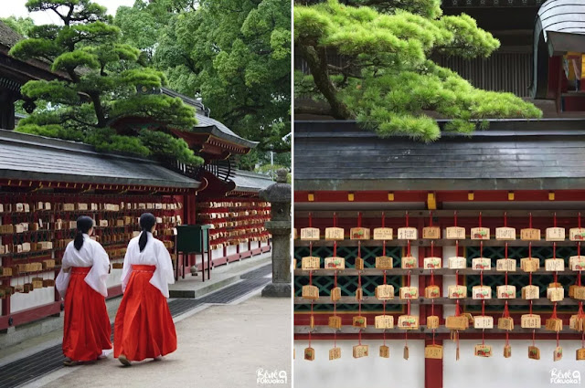 巫女さん、絵馬、大宰府天満宮、大宰府、福岡