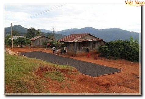 tn_dalat16