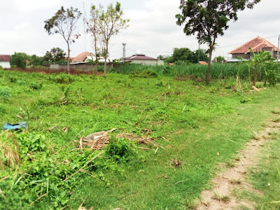 Tanah Lokasi Strategis Dijual Di Kota Tuungagung