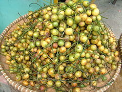 Pohon dan buah menteng makin langka