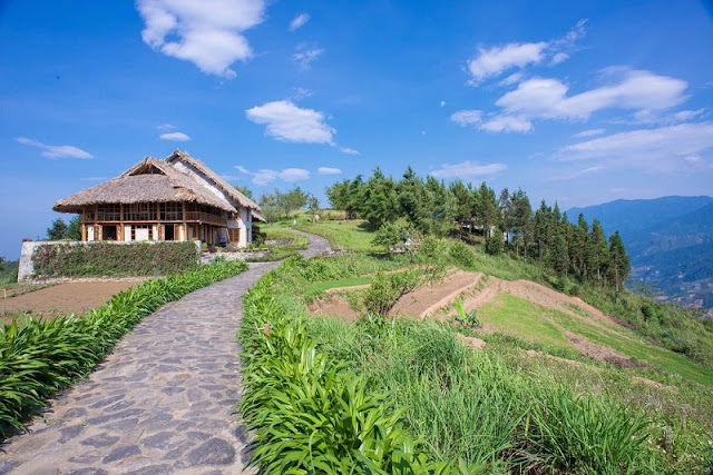 Relax with the unique "pool on the mountain" in Topas Ecolodge, Sapa 1