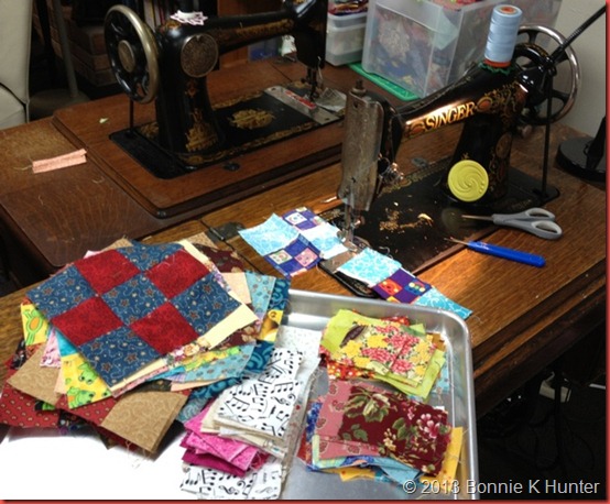 quiltcam 013
