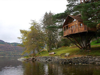  Beauty of Tree Houses