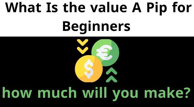 What Is The Pip (Beginners Must Learn It at 2022)