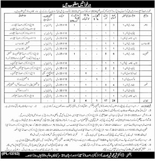 Agriculture Department Punjab Jobs 2023