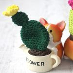 PATRON CACTUS AMIGURUMI 24533