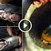 OMG - See What Happen When Newborn Child Stuck In Washroom Pipe!